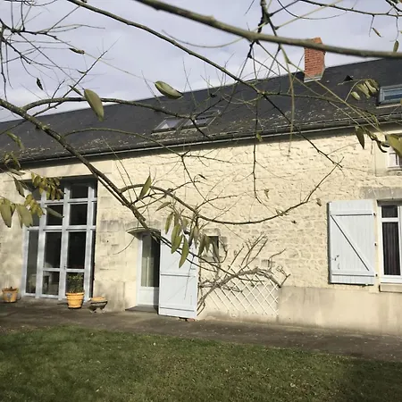 Le Pin De La Tour